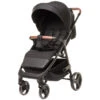 4Baby Stinger XXIII Black Wandelwagen -Kinderwagenserie Winkel 4baby stinger xxiii black wandelwagen 1