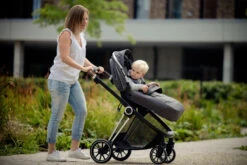 Ding Fenix Grey/Silver Kinderwagen DI-191703 -Kinderwagenserie Winkel ding fenix grey silver kinderwagen