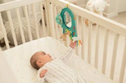 Infantino Elephant Autospiegel BK-316313 -Kinderwagenserie Winkel infantino elephant autospiegel bk 316313 2