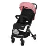 Lorelli Fiorano Rose Quartz Wandelwagen Incl. Beenkap 1002149-2381