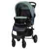 Lorelli Olivia Green Bay Wandelwagen 1002187-2390 -Kinderwagenserie Winkel lorelli olivia green bay wandelwagen 1002187 2390